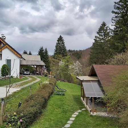 Ingreen House Bohinjska Bela Exterior photo